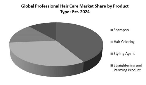 Professional Hair Care Market Share
