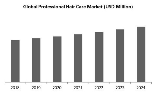 Professional Hair Care Market Size