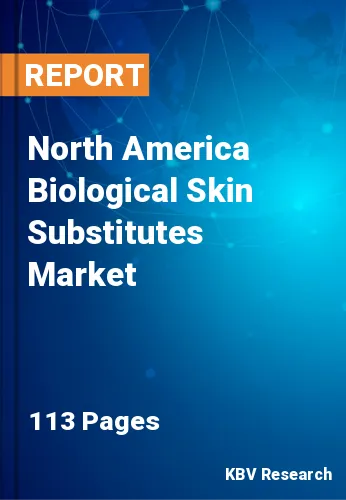 North America Biological Skin Substitutes Market Size 2031