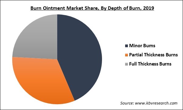 Burn Ointment Market Share