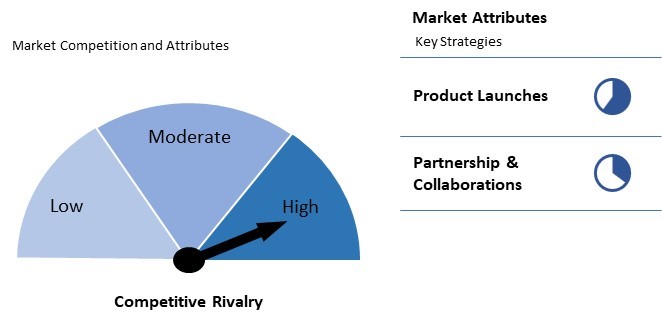 Conversational Systems Market Competition and Attributes