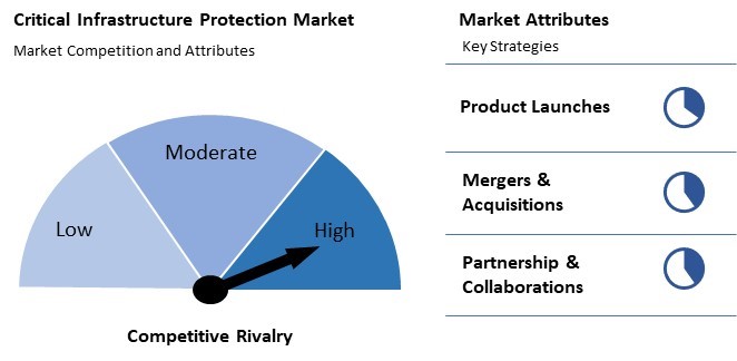 Critical Infrastructure Protection Market Competition and Attributes