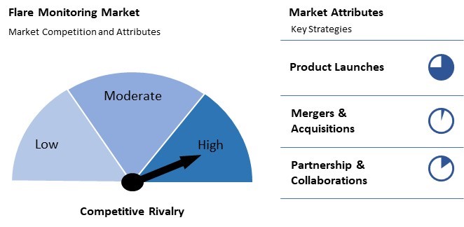 Flare Monitoring Market Competition and Attributes