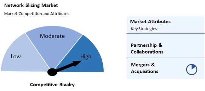 Network Slicing Market Competition and Attributes