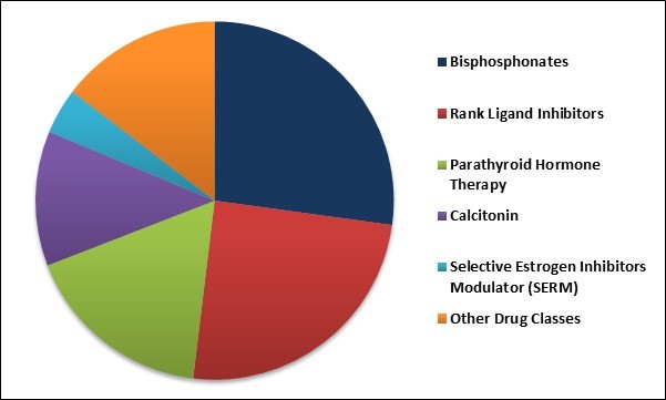 Osteoporosis Drugs Market Share