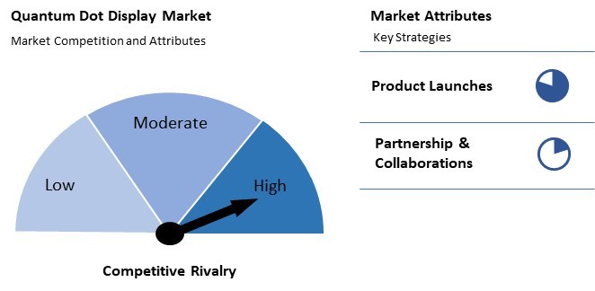 Quantum Dot Display Market Competition and Attributes