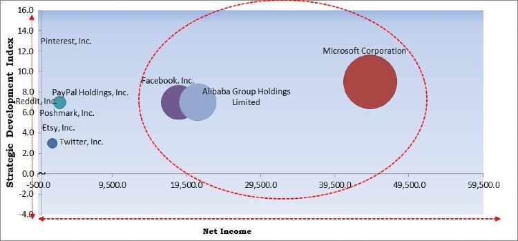 Social Commerce Market Competition Analysis