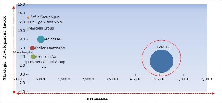 Sunglasses Market Competition Analysis